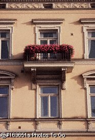 Windows & flower box